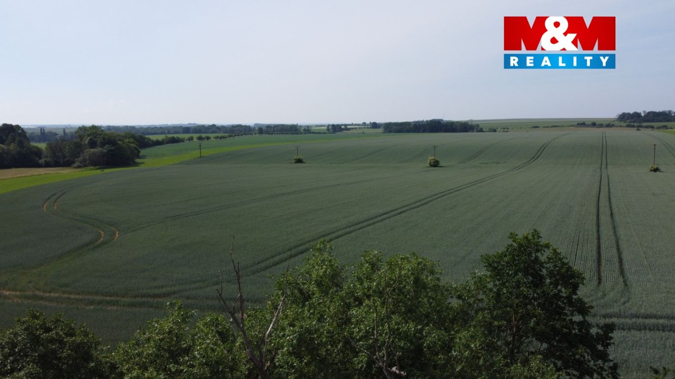 Pozemky