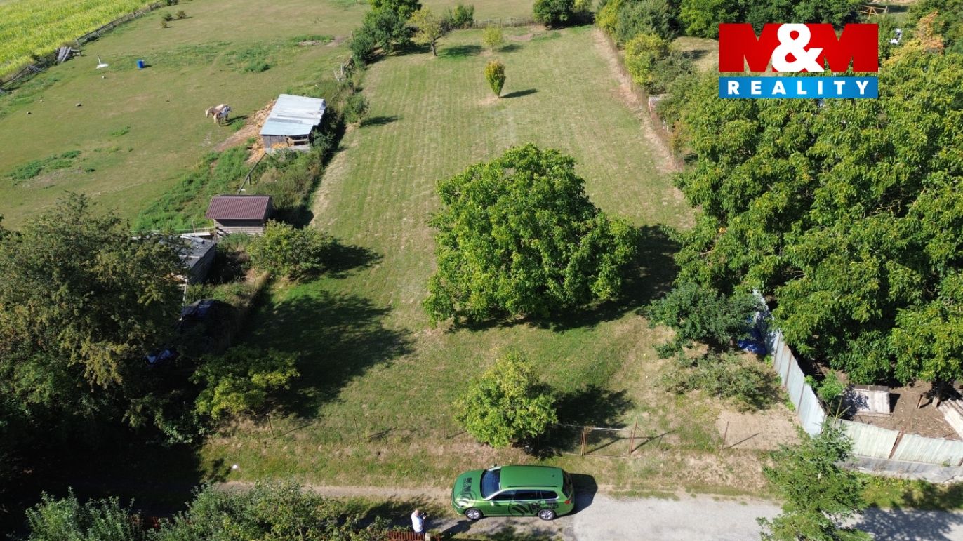 DJI_0781.jpg