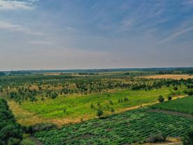 Prodej ovocného sadu, 123477 m², Rakvice