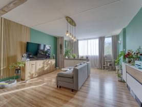 Prodej bytu 3+1, 70 m², Plzeň, ul. Studentská