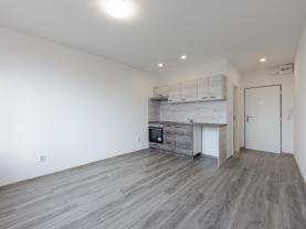 Pronájem bytu 1+kk, 21 m², Sokolov, ul. Švabinského