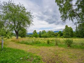 Prodej pozemku k bydlení, 2451 m², Ovesná - Nová Pec