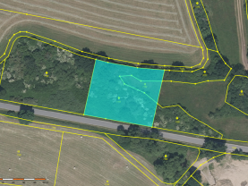 Prodej ostatní plochy, 3389 m², Jinín