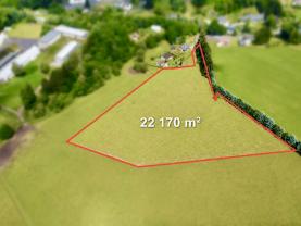 Prodej louky, 22170 m², Bartošovice v Orlických horách