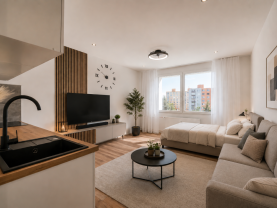 Prodej bytu 1+kk, 22 m², Horní Bříza, ul. U Vrbky