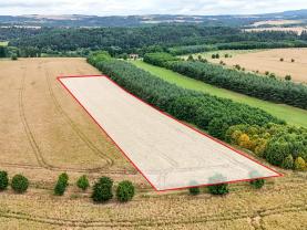 Prodej pole, 11929 m², Chrást