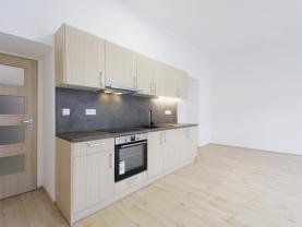 Pronájem bytu 1+kk, 55 m², Plzeň, ul. Americká