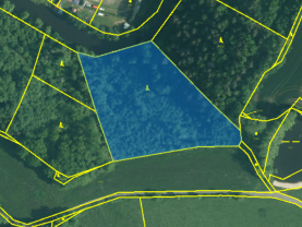 Prodej lesa, 9271 m², Římov - Branišovice