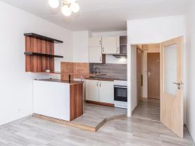 Prodej bytu 1+kk, 24 m², Brno, ul. Horácké náměstí