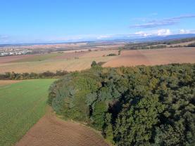 Prodej lesa, 845297 m², Kněždub