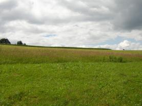 Prodej zahrady, 4214 m², Benecko