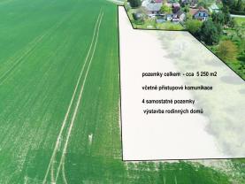 Prodej pozemku k bydlení, 5250 m², Rychnovek