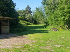 Pronájem louky, 2253 m², Kaznějov