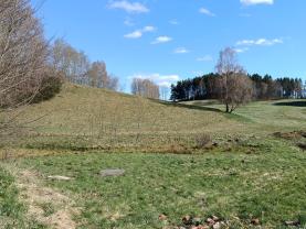 Prodej louky, 2749 m², Janův Důl