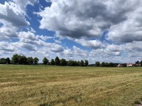 Prodej stavebního pozemku, 2035 m², Hradištko pod Medníkem