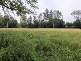 Prodej lesa, 20128 m², Střelské Hoštice