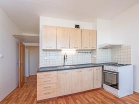 Prodej bytu 1+1, 44 m², Brno, ul. Horácké náměstí