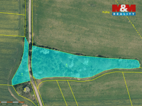 Prodej lesa, 19561 m², Načeradec