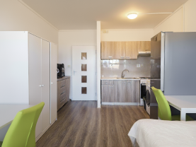 Pronájem bytu 1+kk, 32 m², Karviná, ul. Čsl. armády