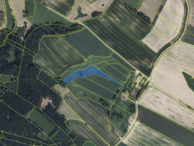 Prodej louky, 7248 m², Horní Třešňovec