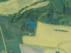Prodej lesa, 4545 m², Třešovice