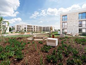 Prodej bytu 2+kk, 55 m², Brandýs nad Labem, ul. Dřevčická