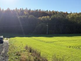Prodej lesa, 1901 m², Velká Polom
