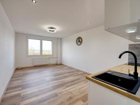 Prodej bytu 1+kk, 25 m², Horní Bříza, ul. U Vrbky