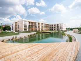 Prodej bytu 1+kk, 45,3 m², Brandýs nad Labem, ul. Dřevčická