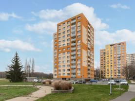 Pronájem, byt 1+1, Pardubice - centrum