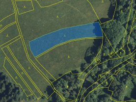 Prodej pole, 4518 m², Rozvadov