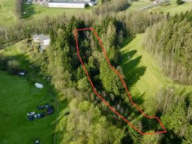Prodej lesa, 4113 m², Dolní Dobrouč, Lanšperk