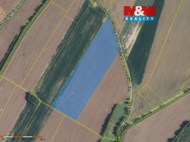 Prodej pole, 72416 m², Damníkov