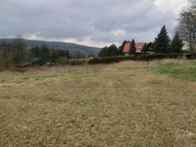 Prodej, stavební pozemek, 4869 m2, Stachy