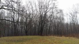 Prodej, lesní pozemek, 2661 m2, Ostrava