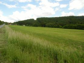 Prodej, louka a les, 31622 m2, Krňany