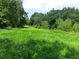Prodej, pozemek, 3817 m², Ostrov u Veliše