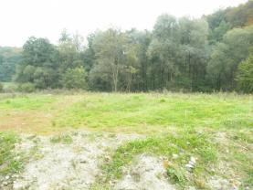 Prodej, pozemek, 2024 m2, Bělov