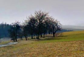 Prodej, pozemek, 838 m2, Dřínov