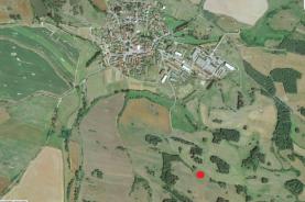 Prodej, lesní pozemek, 1540 m2, Svéradice