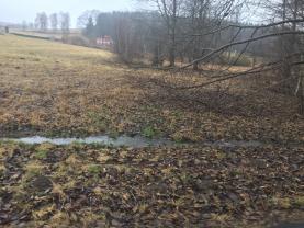 Prodej, louka, 10571 m2, Bad Brambach