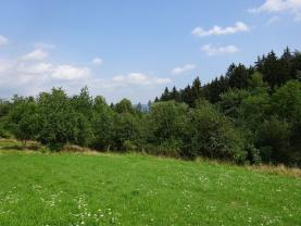 Prodej, zahrada, 1437 m2, Vidče