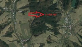 Prodej, lesní pozemek, 11675 m2, Ludkovice
