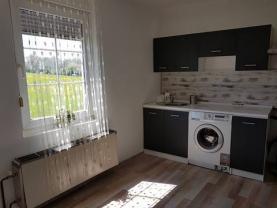 Pronájem, byt 3+1 v RD, Dolní Domaslavice