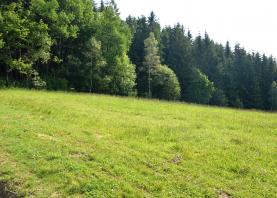 Prodej, pozemek, 3752 m2, Mosty u Jablunkova