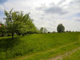 Prodej, pozemek, Starý Jičín, Heřmanice