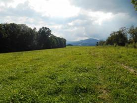 Prodej, pozemek, 4274 m2, Návsí