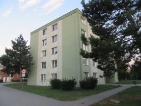 Pronájem, byt 2+1, Litovel