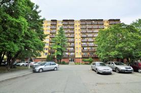 Flat 1+kk for rent, 31 m2, Brno-město, Brno, Arbesova