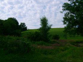 Other, 19000 m2, Rychnov nad Kněžnou, Vamberk